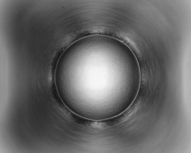 X0000094770261200711301532