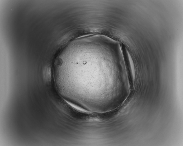 X0000094770262200711301532