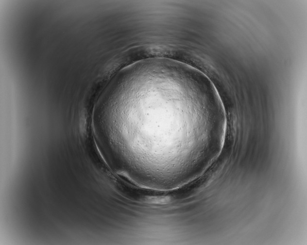 X0000094770266200711301532