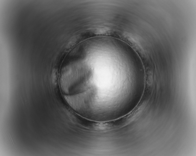 X0000094770273200711301532