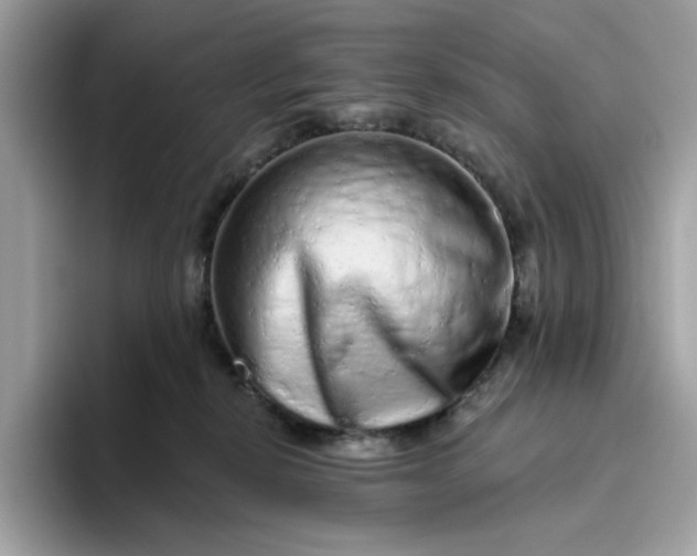 X0000094770278200711301532