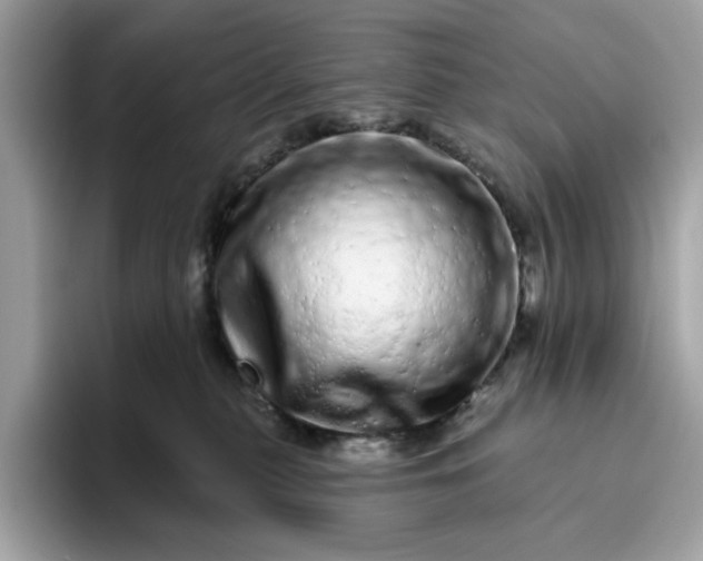 X0000094770279200711301532