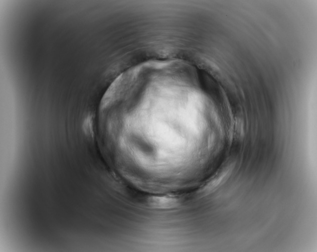 X0000094770286200711301532