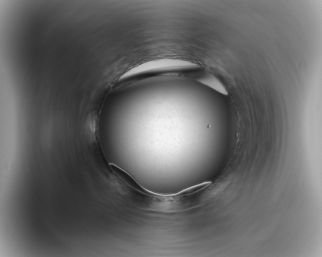 X0000094770288200711301532