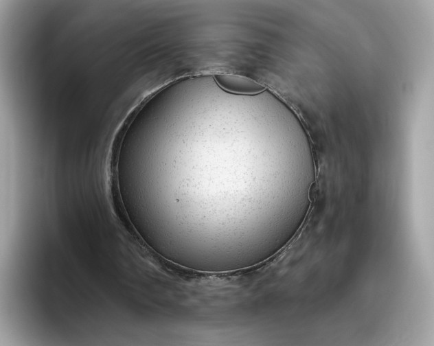 X0000094770290200711301531