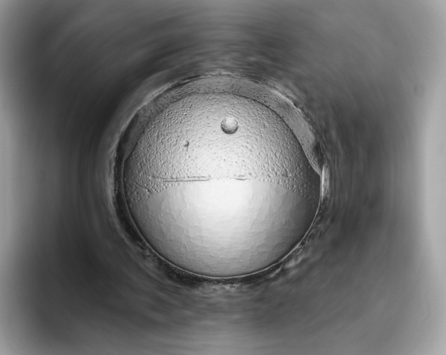 X0000094770291200711301531