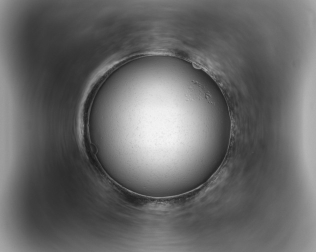 X0000094770294200711301531