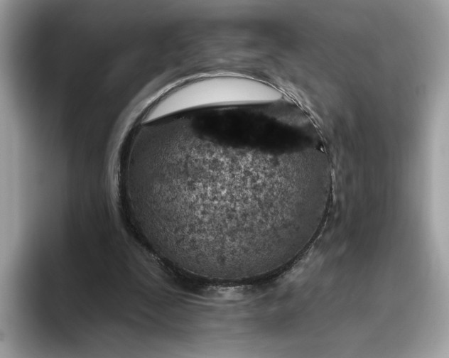 X0000094770295200711301531