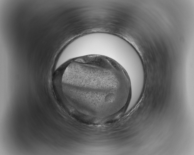 X0000094770297200711301531