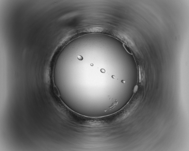 X0000094770300200711301531