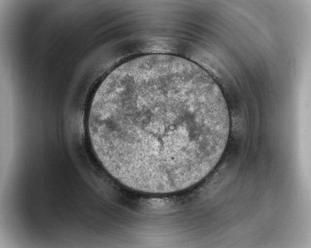 X0000094770302200711301531