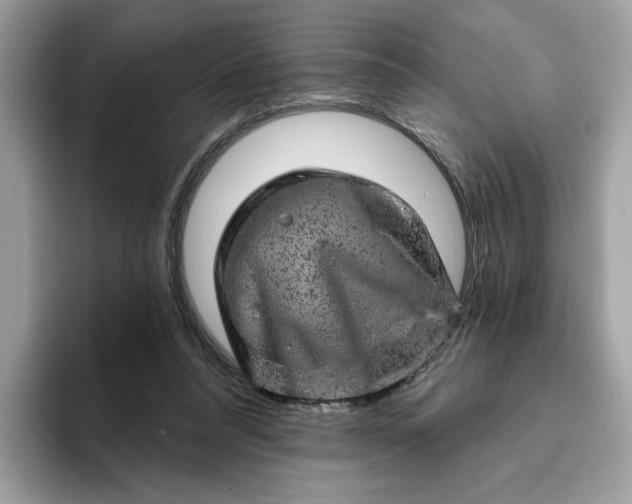 X0000094770304200711301531