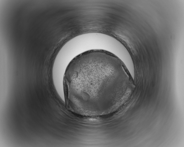 X0000094770308200711301531