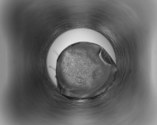 X0000094770312200711301531