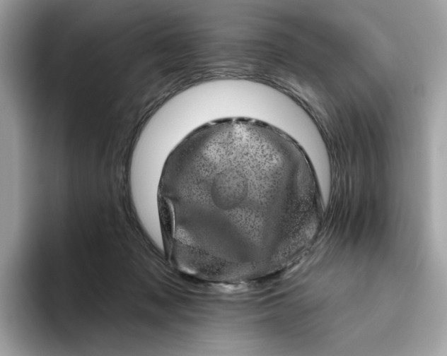 X0000094770317200711301531