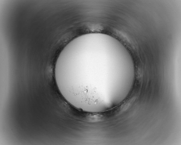 X0000094770321200711301531