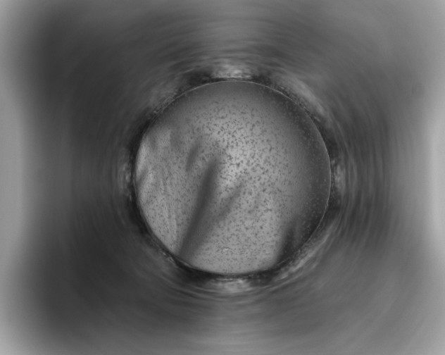 X0000094770322200711301531