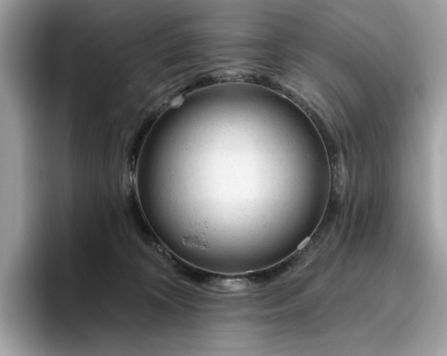 X0000094770324200711301531