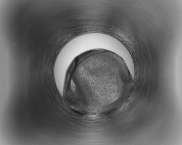 X0000094770325200711301531