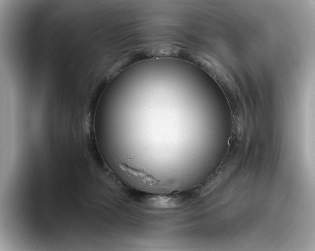 X0000094770326200711301531