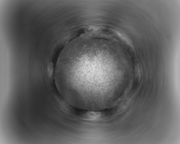 X0000094770328200711301531