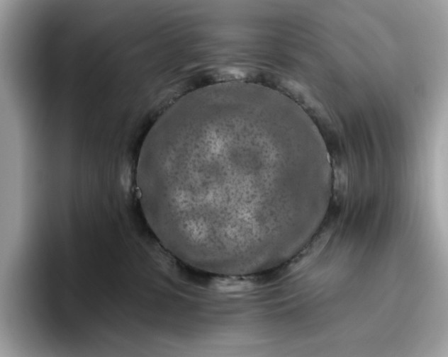 X0000094770331200711301531