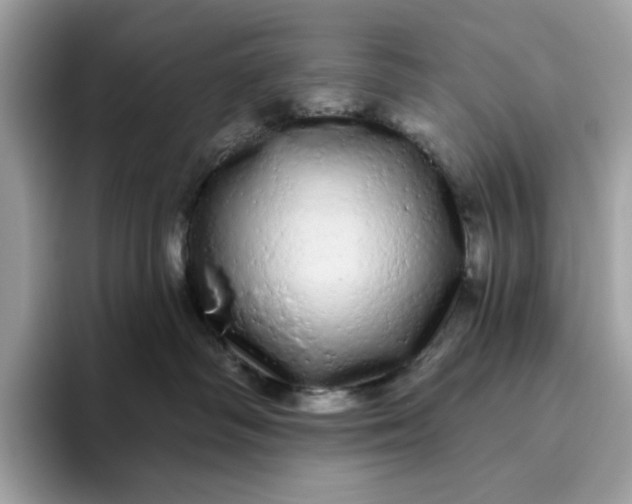 X0000094770334200711301531