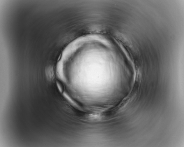 X0000094770335200711301531