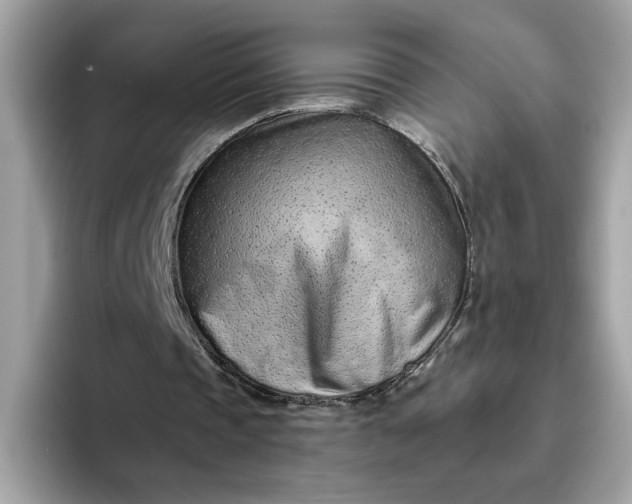 X0000094770337200711301530