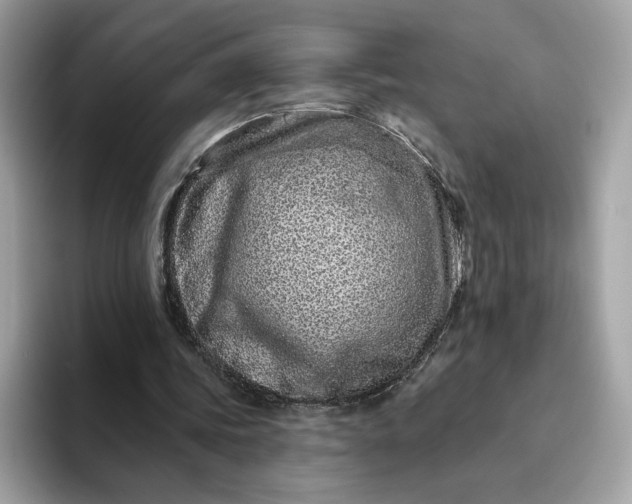 X0000094770339200711301530