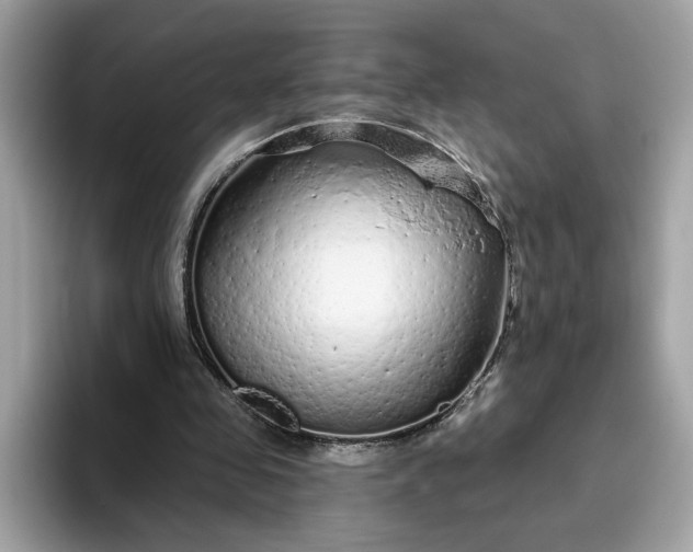 X0000094770341200711301530