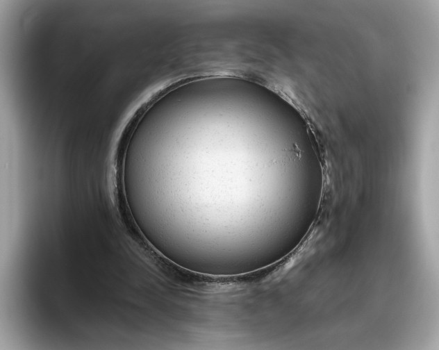 X0000094770342200711301530