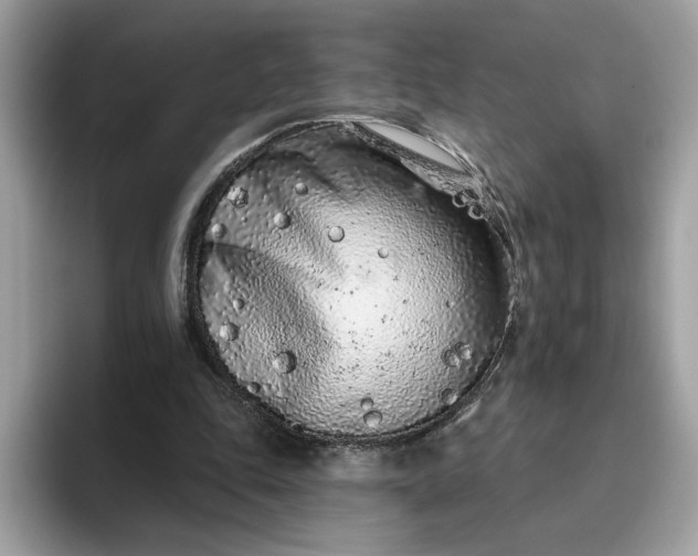 X0000094770343200711301530