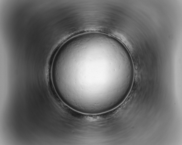 X0000094770346200711301530