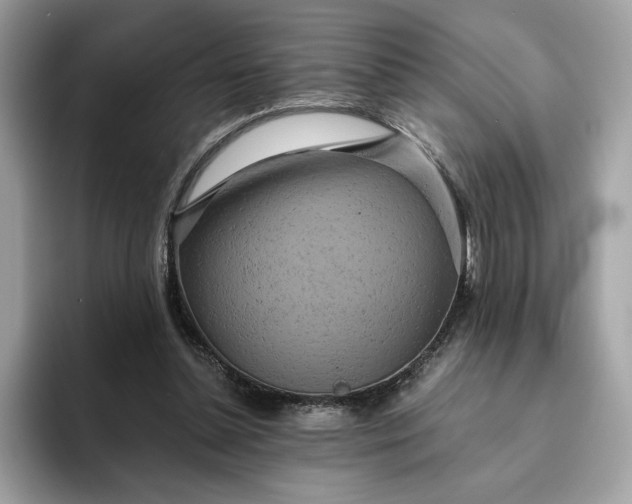 X0000094770348200711301530