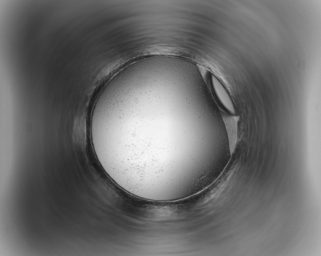 X0000094770349200711301530