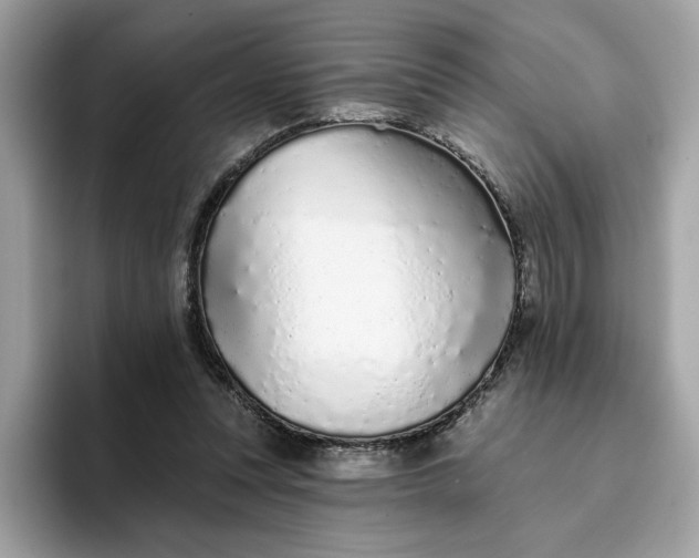 X0000094770351200711301530