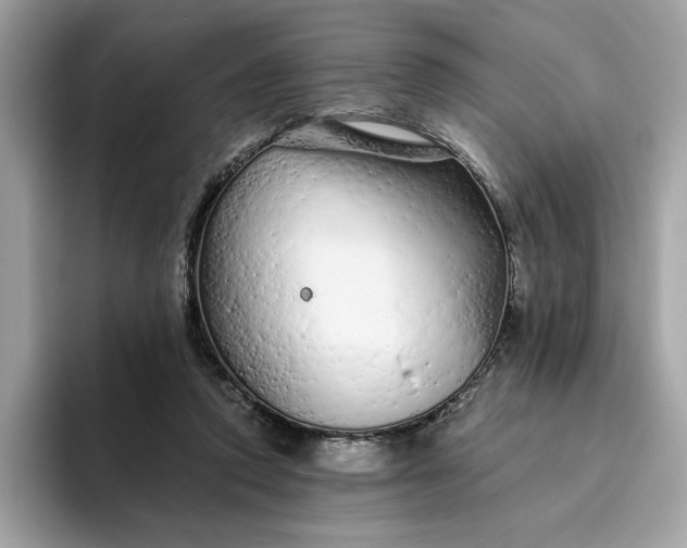 X0000094770354200711301530