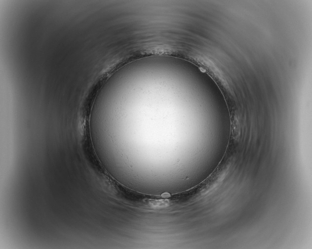 X0000094770355200711301530