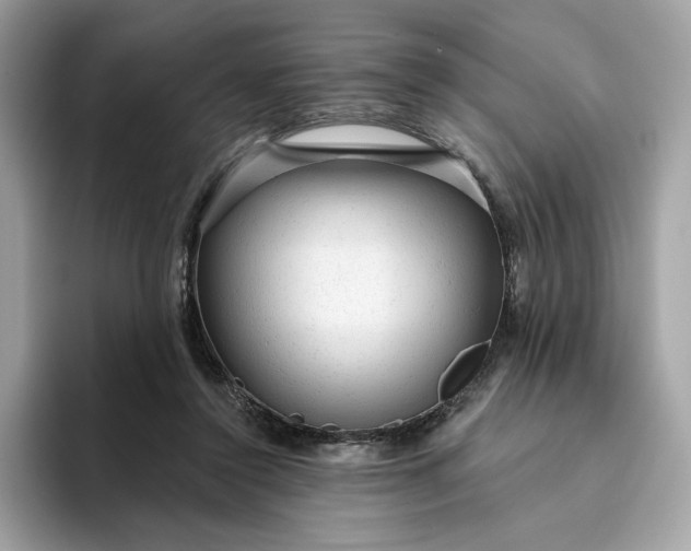 X0000094770356200711301530