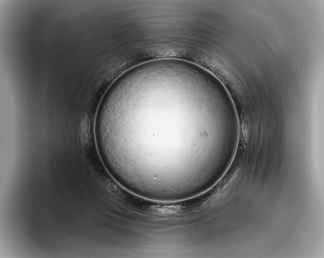 X0000094770359200711301531