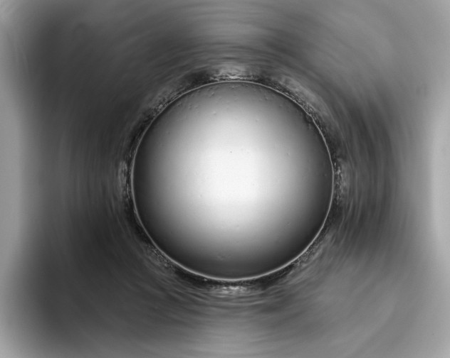 X0000094770361200711301531