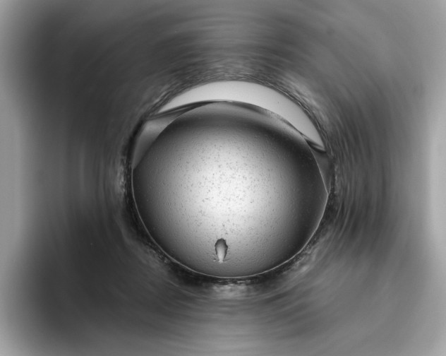 X0000094770362200711301531