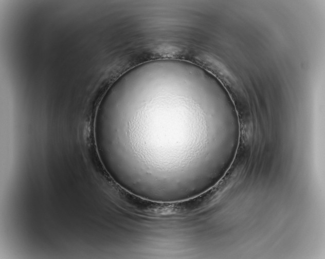 X0000094770365200711301531