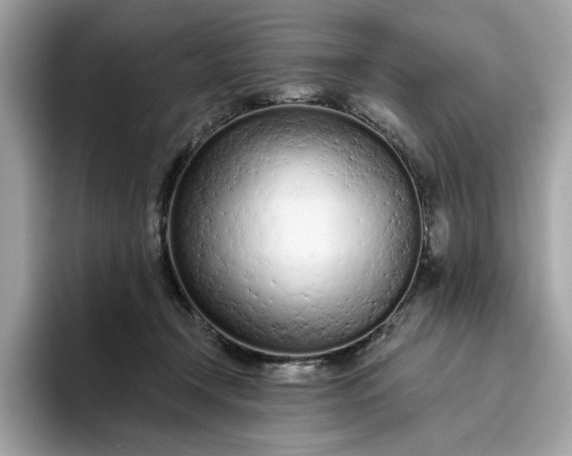 X0000094770366200711301531