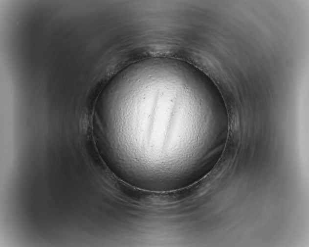 X0000094770367200711301531