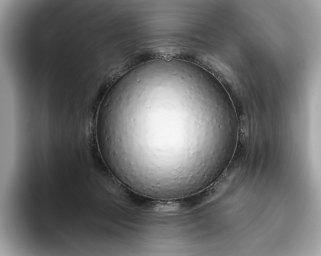 X0000094770369200711301531