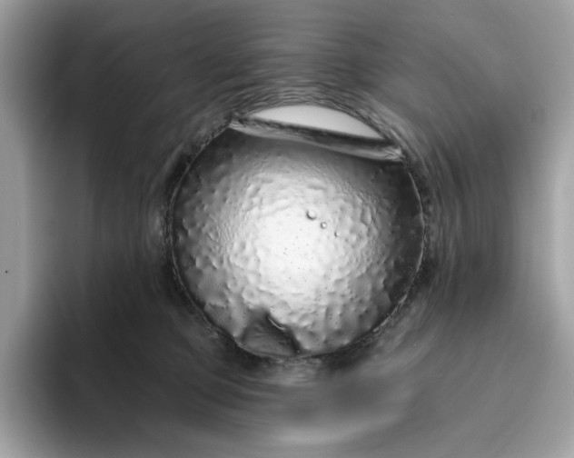 X0000094770373200711301531