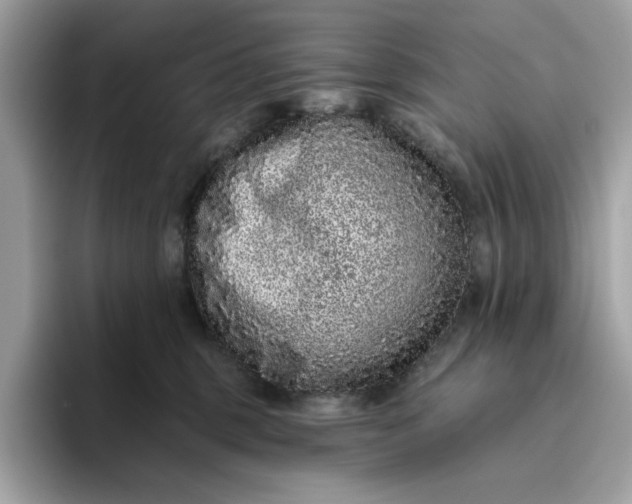 X0000094770375200711301531