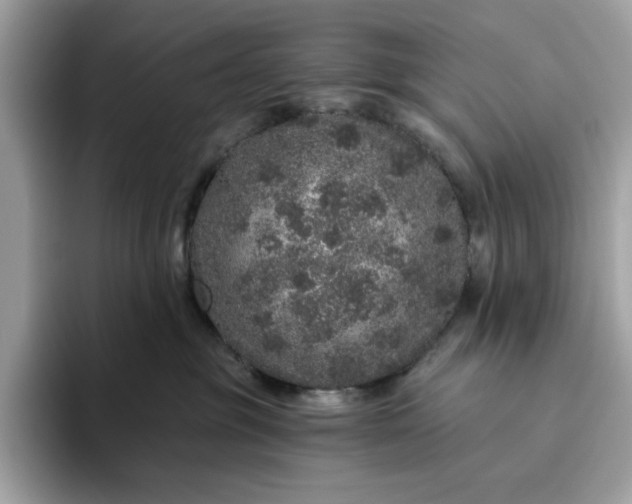 X0000094770381200711301531